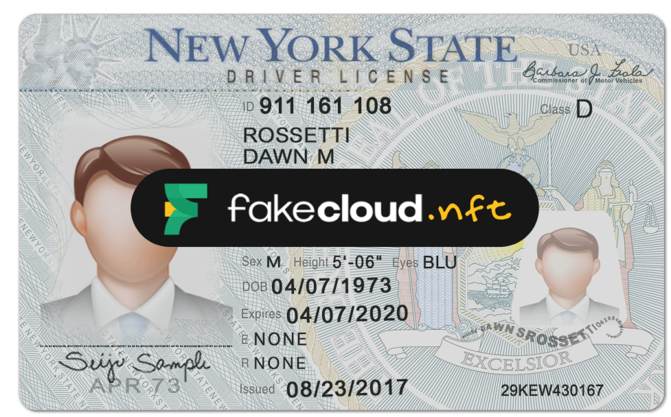 New York driver license psd Template - FakeCloud 3.0