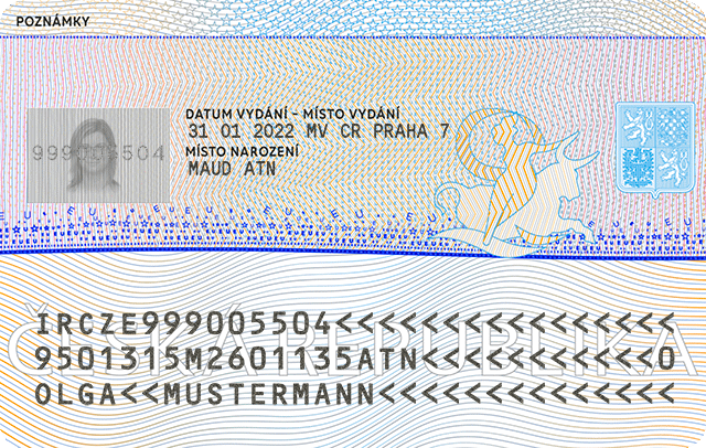 fake id cards